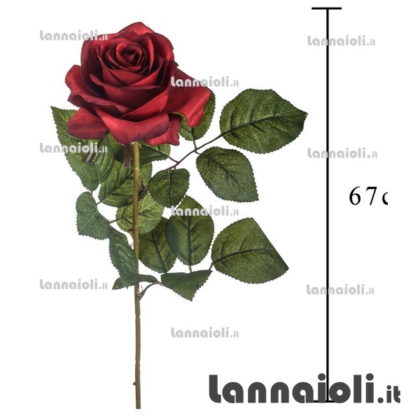 ROSA REAL TOUCH CM.60 